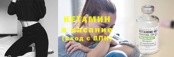 крисы Новозыбков