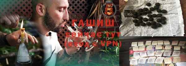 крисы Новозыбков