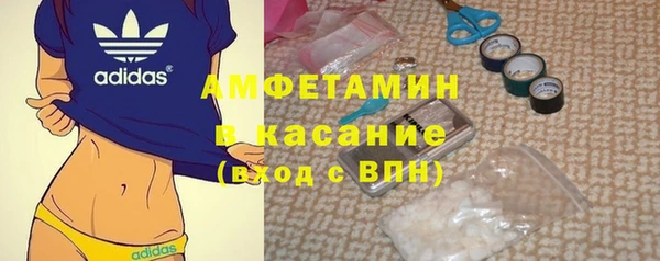 амф Новодвинск